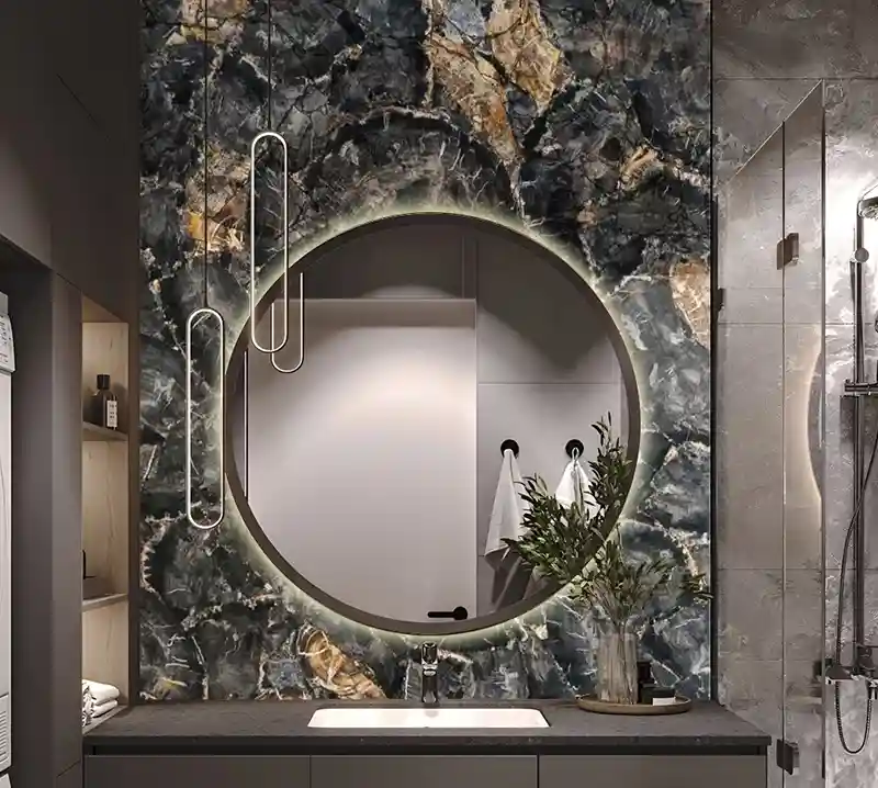 Black Petrified Wood Round