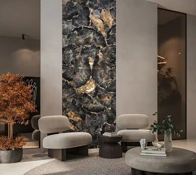 Black Petrified Wood Round