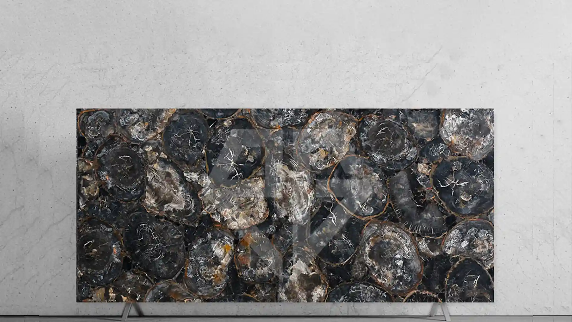 Black Petrified Wood Round