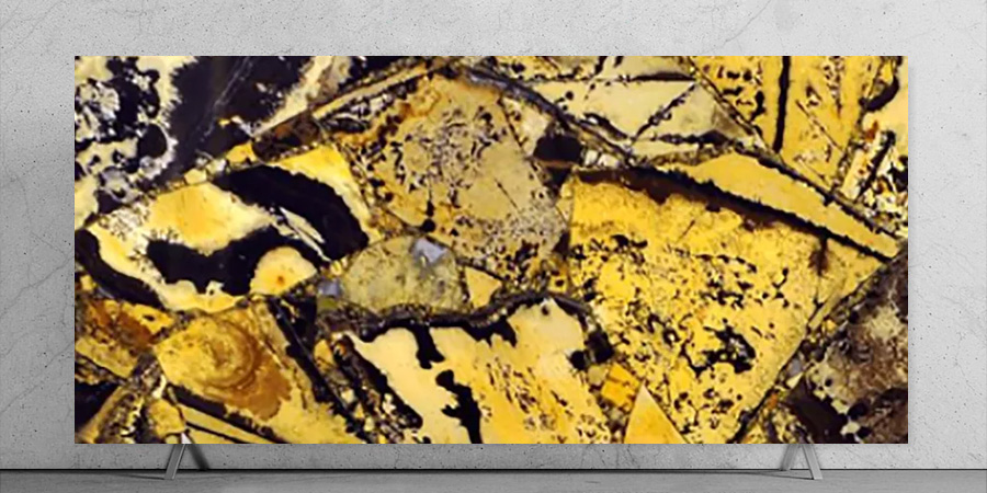Yellow Fossil Closeup