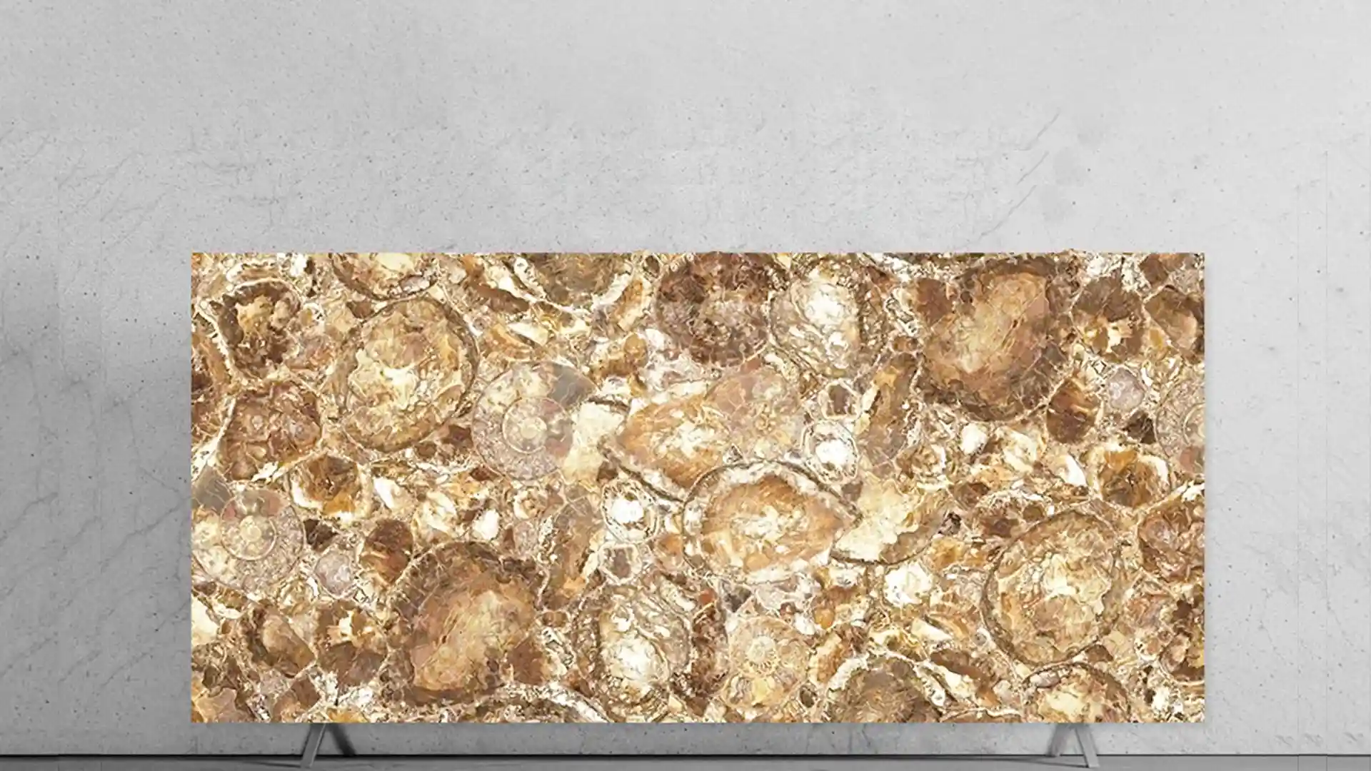 Beige Petrified Wood