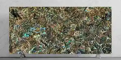 Green Abelone Random