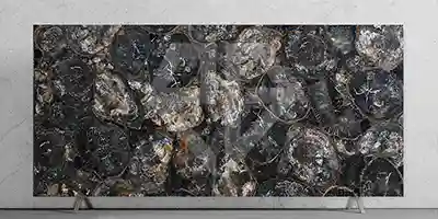 Black Petrified Wood Round