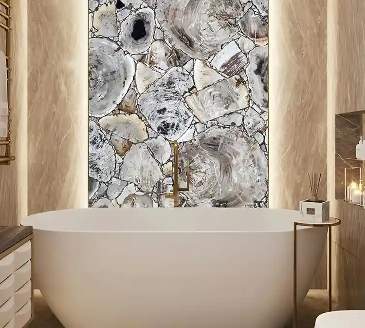 White Petrified Wood