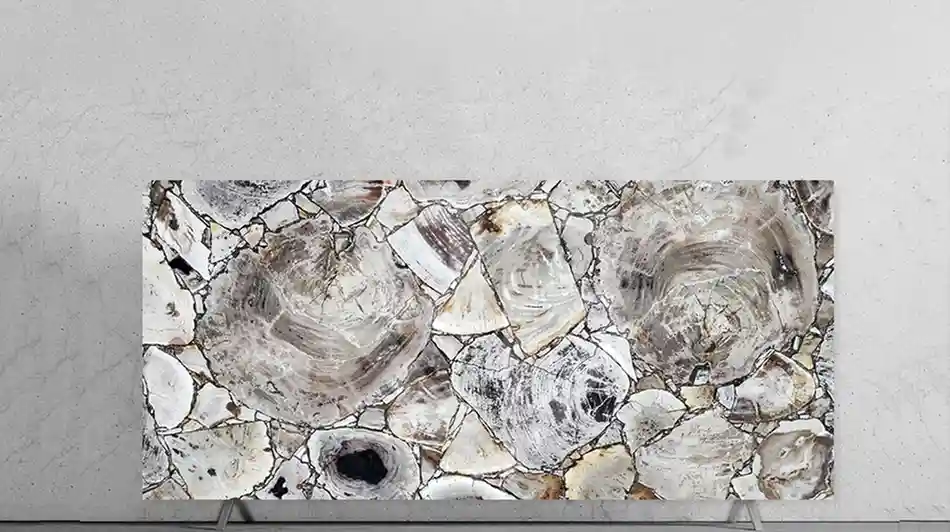 White Petrified Wood